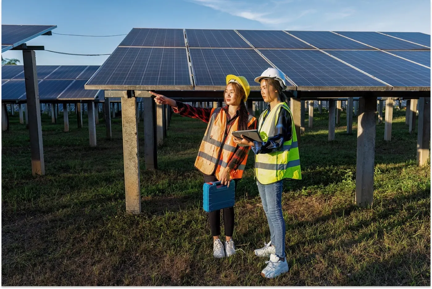 The Future of Energy: How Solar Panels Can Reduce Your Electricity Bills