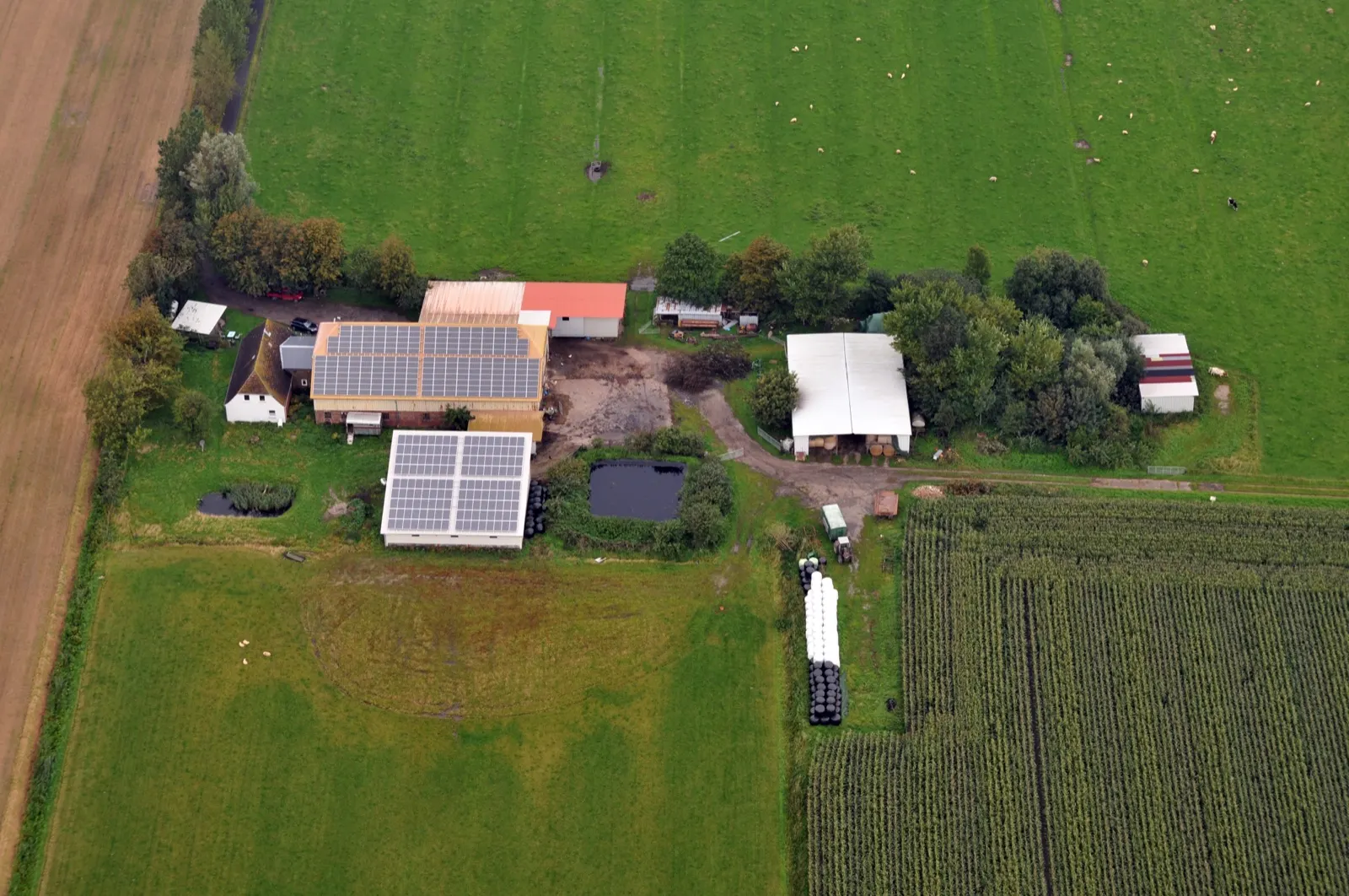 Aerial view of a farmyard with solar panels across the barn and outbuilding roofs