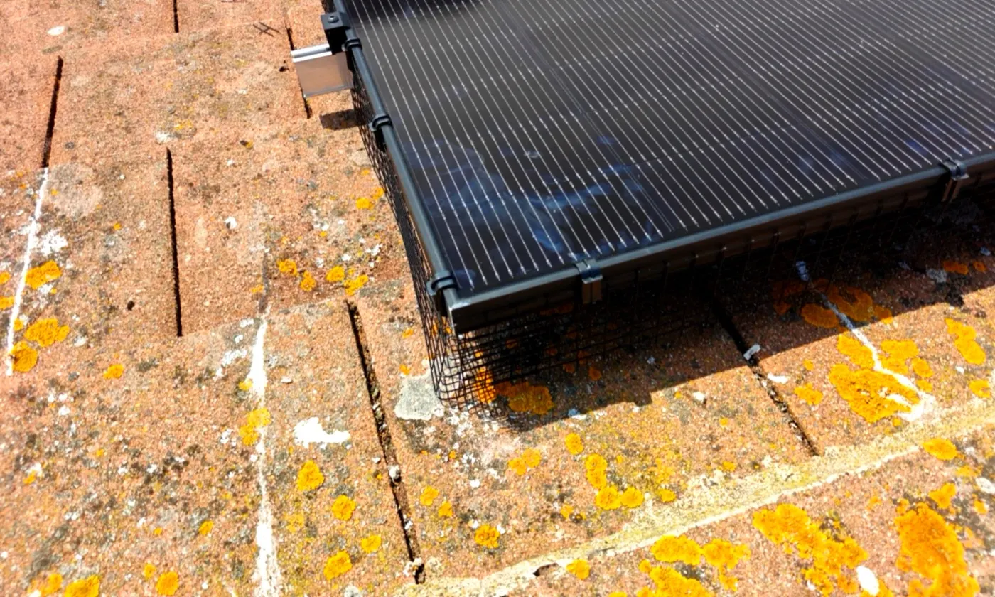 Bird mesh protecting a solar array